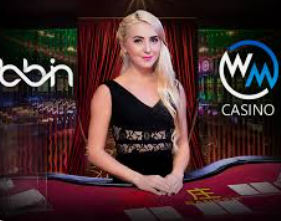 熊猫体育下载2024最新版